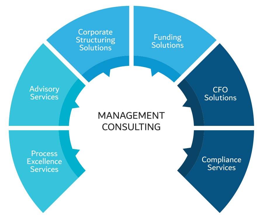 OUR CONSULTING SNAPSHOT – Erudite